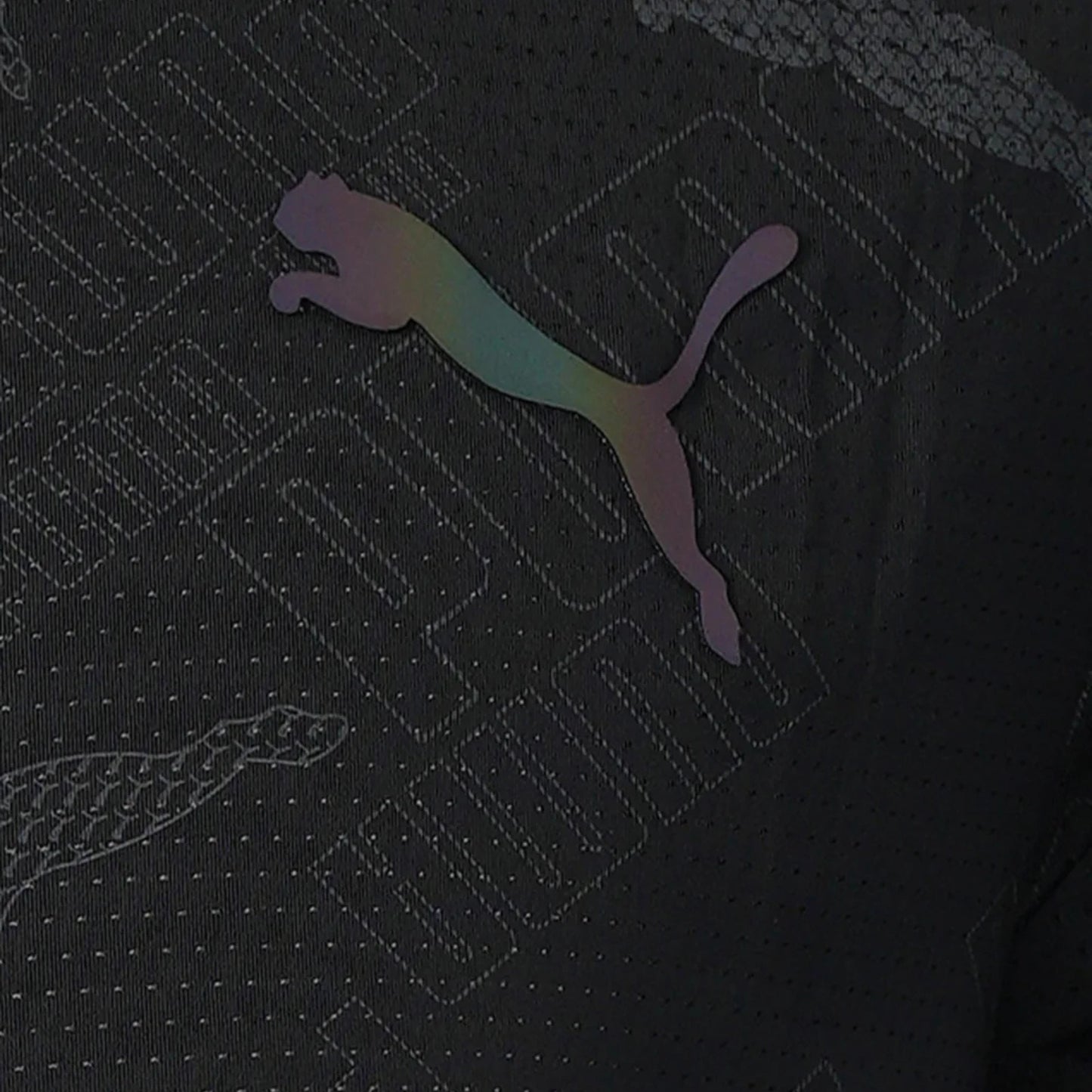 PUMA - Training Dri-Fit Black T-Shirt